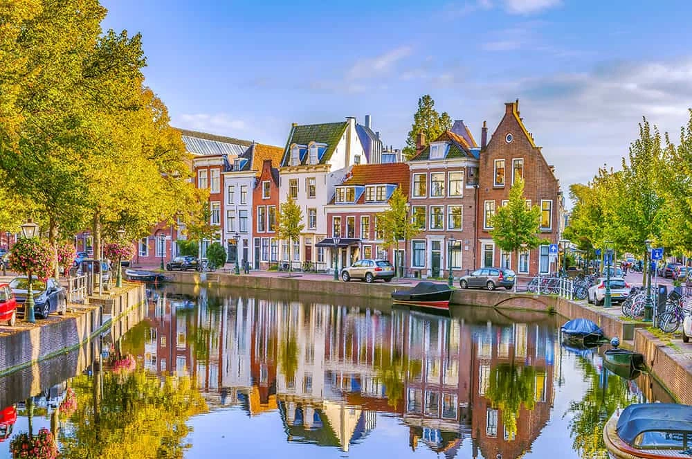 How to Secure a Scholarship to Study in the Netherlands as an International Student