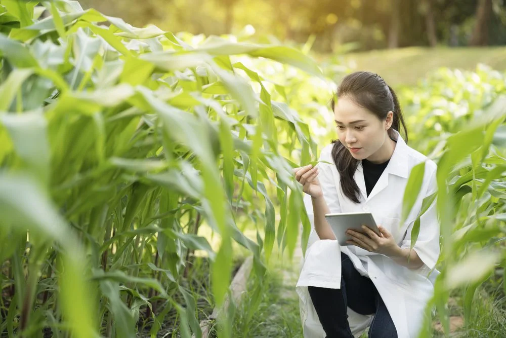 Growing Your Career: Why an Agriculture Degree is a Smart Choice for 2025