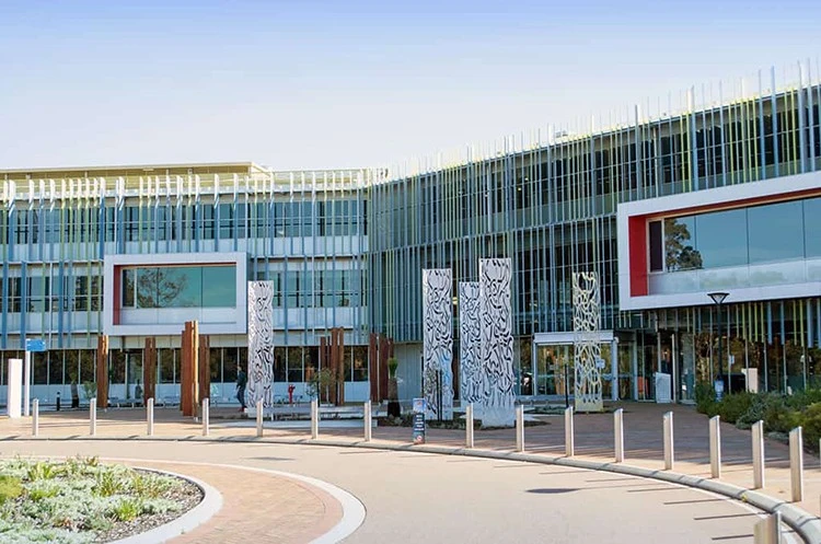 Edith Cowan University Higher Degree by Research Scholarship: A Gateway to Advancing Your Research Career