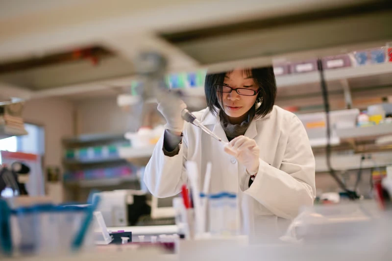 Call for Applications: UNESCO MAB Young Scientists Awards 2025