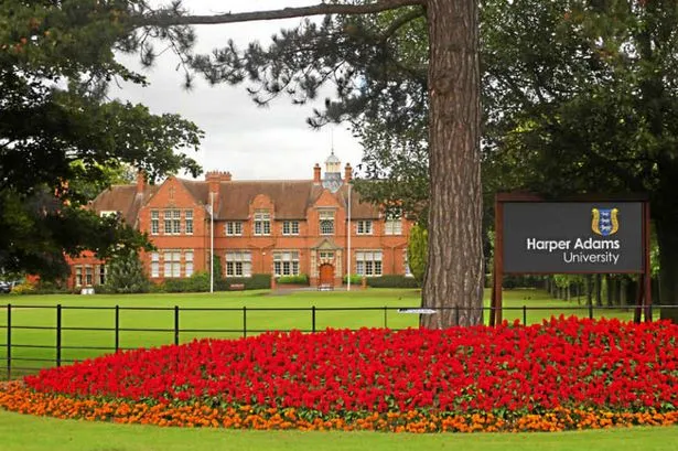 University Buildings