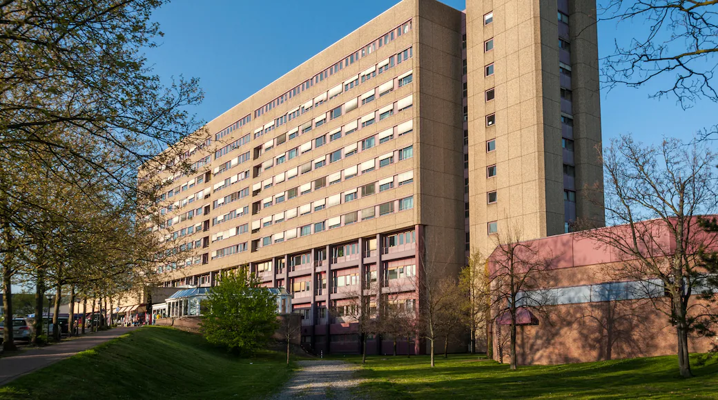 University Buildings