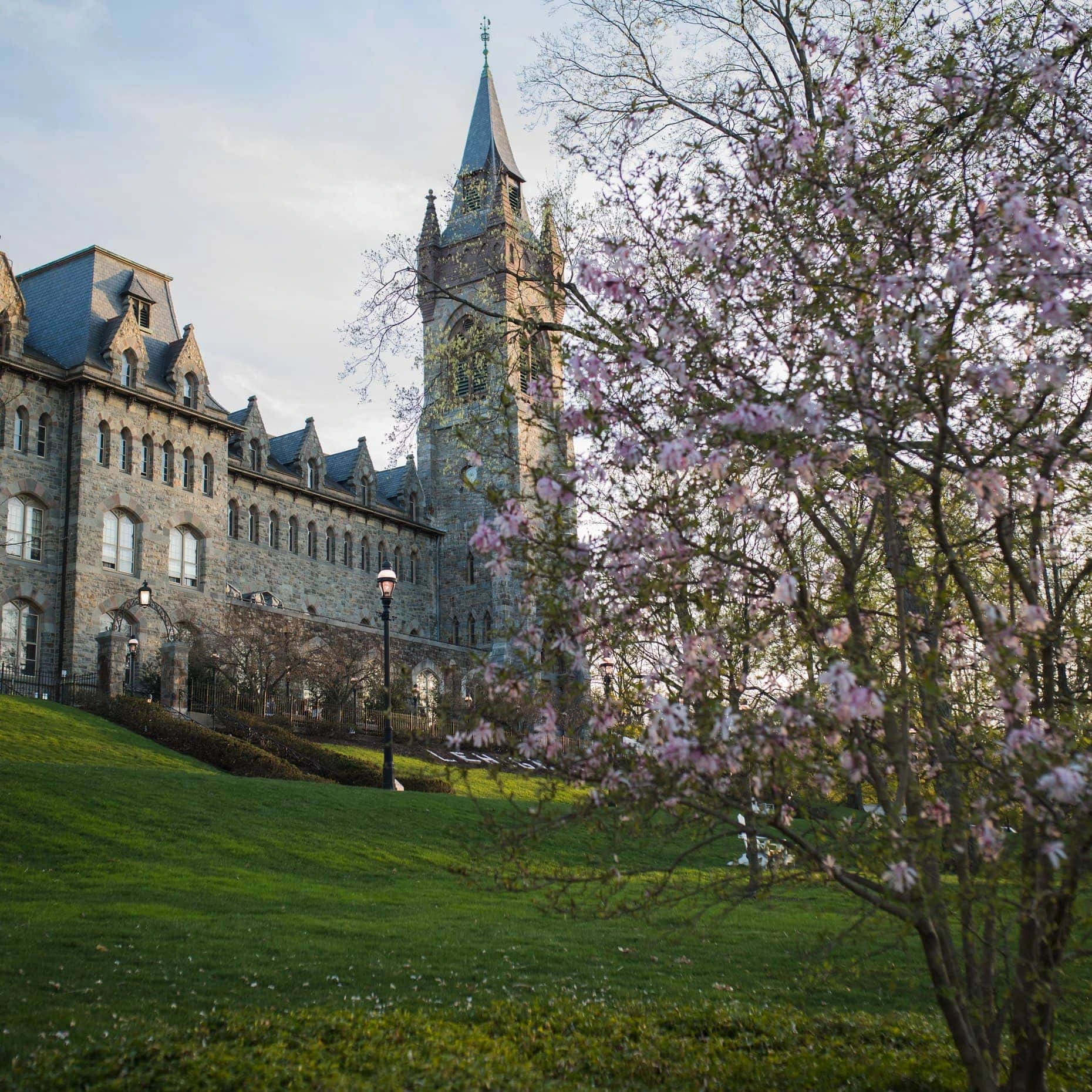 University Buildings