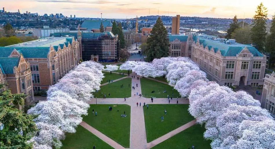 University Buildings